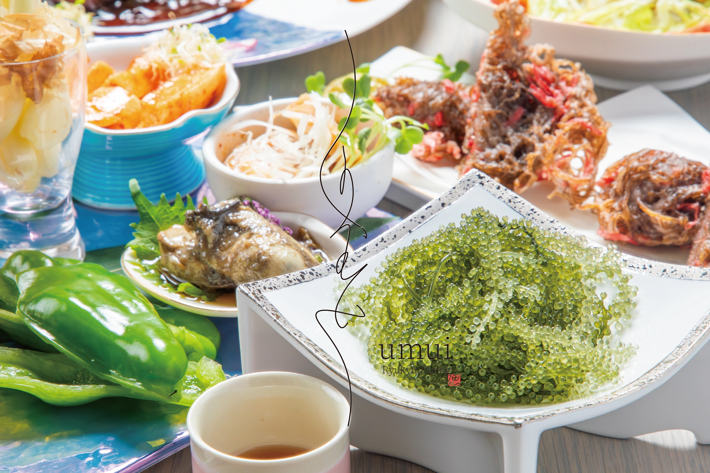 うむい -Ryukyu Dining-