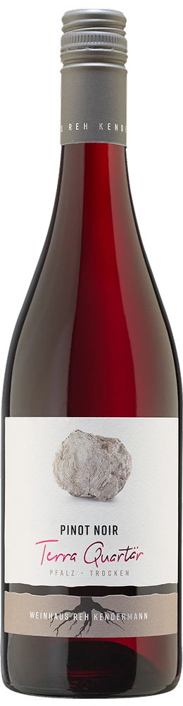 レー・ケンダーマン ピノ・ノワール テラ・クアーティア
