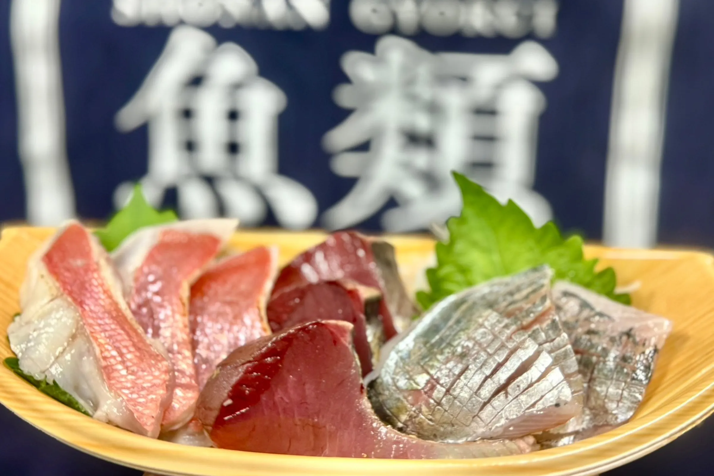 湘南魚類 小田原水産女子
